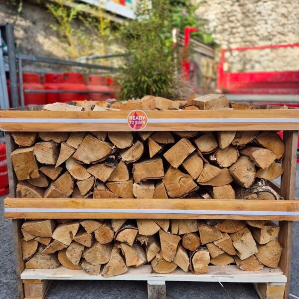 Short Crate Silver Birch