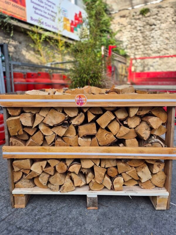 Short Crate Silver Birch