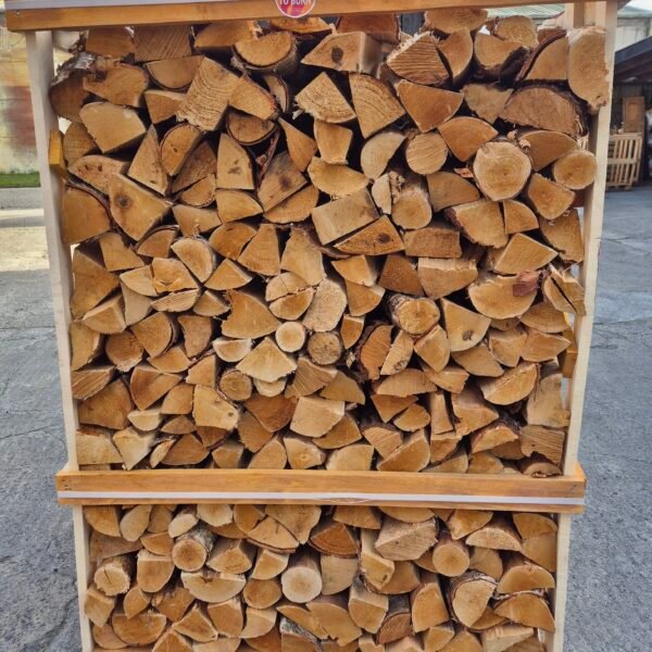 Double Decker Silver Birch